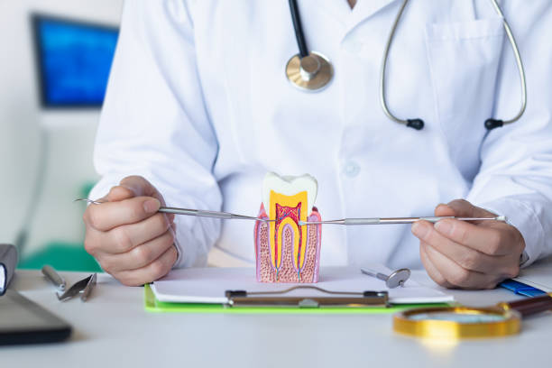 Best Pediatric Emergency Dentist in Suffern, NY
